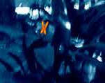 play 5 Butterflies
