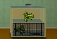 play Chinese Cabbage Room Escape