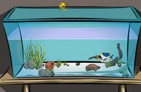 play Aquarium Room Escape