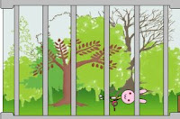 play The First Escape