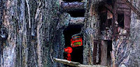 play Wogger Mini Chapter 66