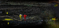 play Wogger Mini Chapter 53