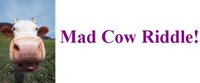 play Mad Cow Riddle