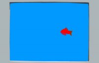play Seen On Screen - An Online Puzzle Experiment