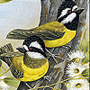 play Woodland Birds Slide Puzzle