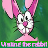 play Visiting The Rabbit