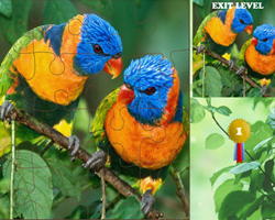 play Simple Puzzle With Animal 2