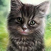 play Strange Cat Slide Puzzle