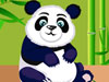 play Panda Care