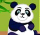 play Panda Care