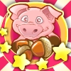 Funny Piggies