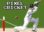 play Pixel Cricket