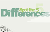 play 5 Differences