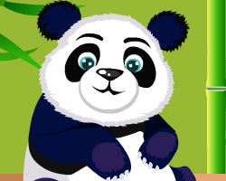 play Panda Care