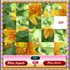 play Flower Slider