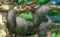 play Super Sloth