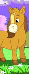 play Darcy Pony Difference