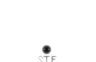 play Swat The Fly