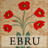play Ebru Differences