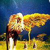 play Little Lions Puzzle