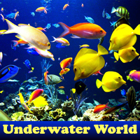 play Underwater World