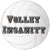 play Volley Insanity