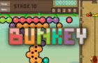 play Bunkey