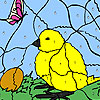 play Chick And Egg Coloring