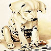 play Alone Spotted Dog Slide Puzzle