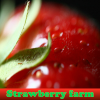 play Strawberry Farm