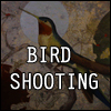 play Bird Shooting