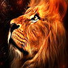 play Wild Lion Slide Puzzle