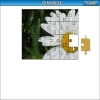 play Chamomile