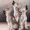 play Three Cute Wolf Slide Puzzle