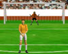 Free Kick Fusion