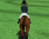 play Horse Race