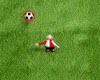play Soccofobia - Soccer
