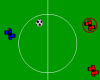 play Soccer