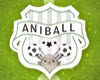 play Aniball - Soccer