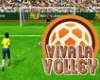 play Viva La Volley