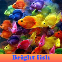 play Bright Fish 5 Differences