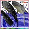 play Blue Whale Coloring