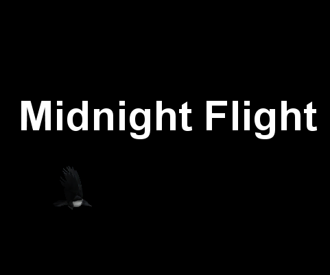 play Midnight Flight