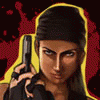 play Police Fury