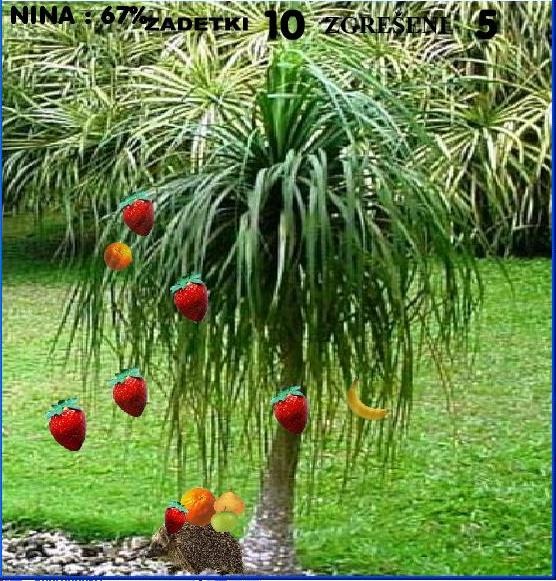 play Fruit