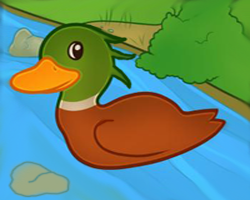 play Joice Duck