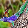 play Lizard And Butterflies Puzzle