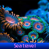 play Sea Travel. Find Objects