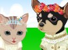 play Pet Wedding