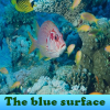 play The Blue Surface